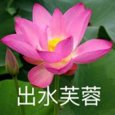 梅洛尼承认在意大利司法改革公投中落败